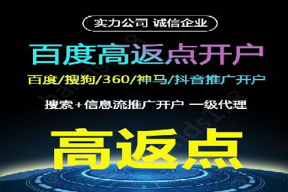 百度SEO推广策略深度解读：某企业网络营销的胜利之路